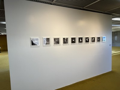 Concretos voadores foto 7