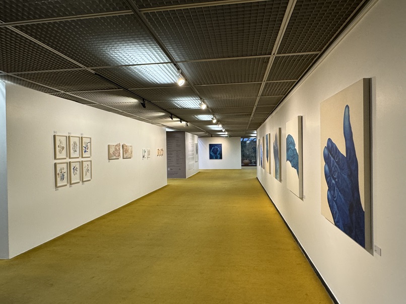 Entre silêncios foto 6