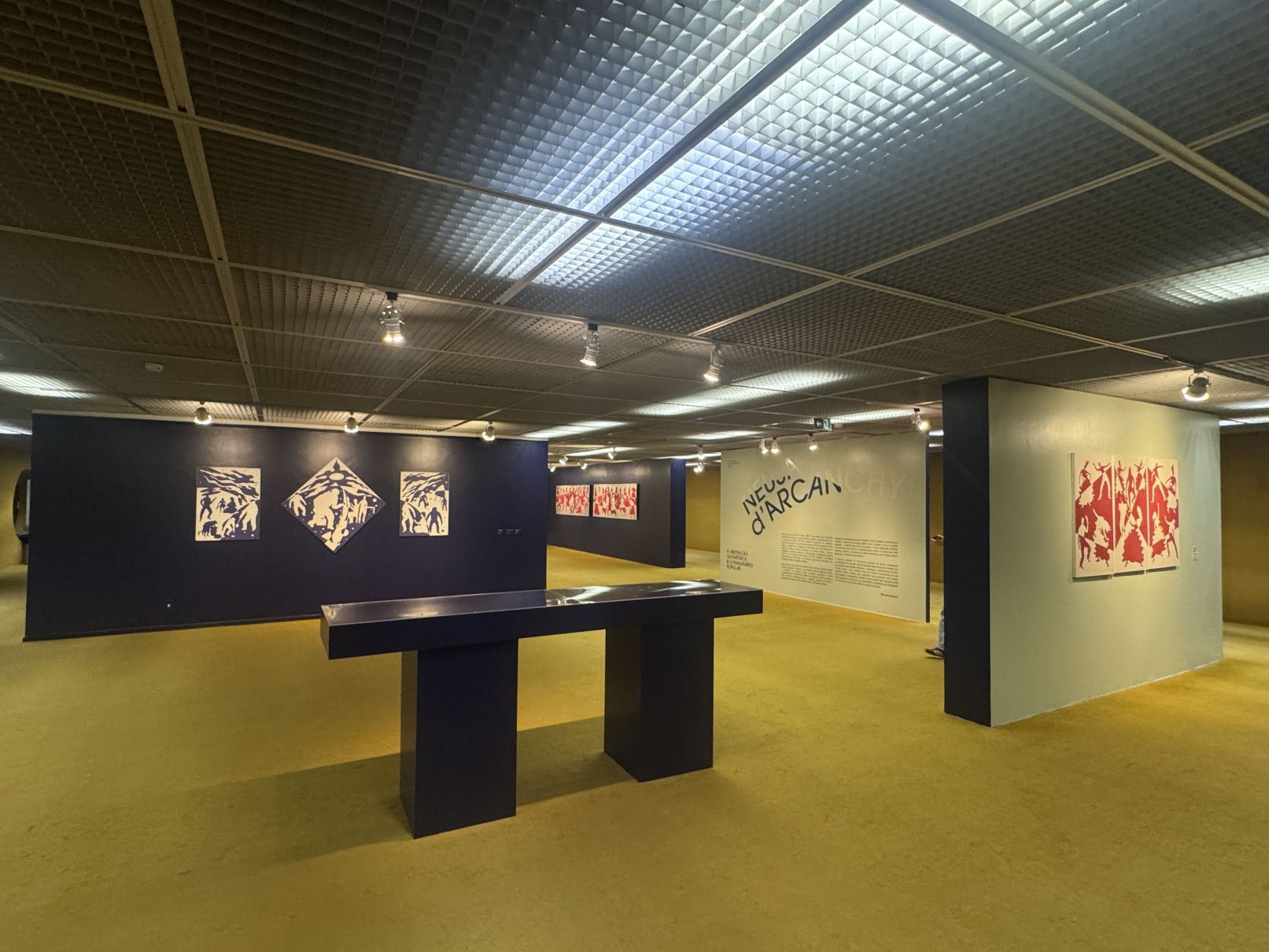 Neusa d'Arcanchy foto 4