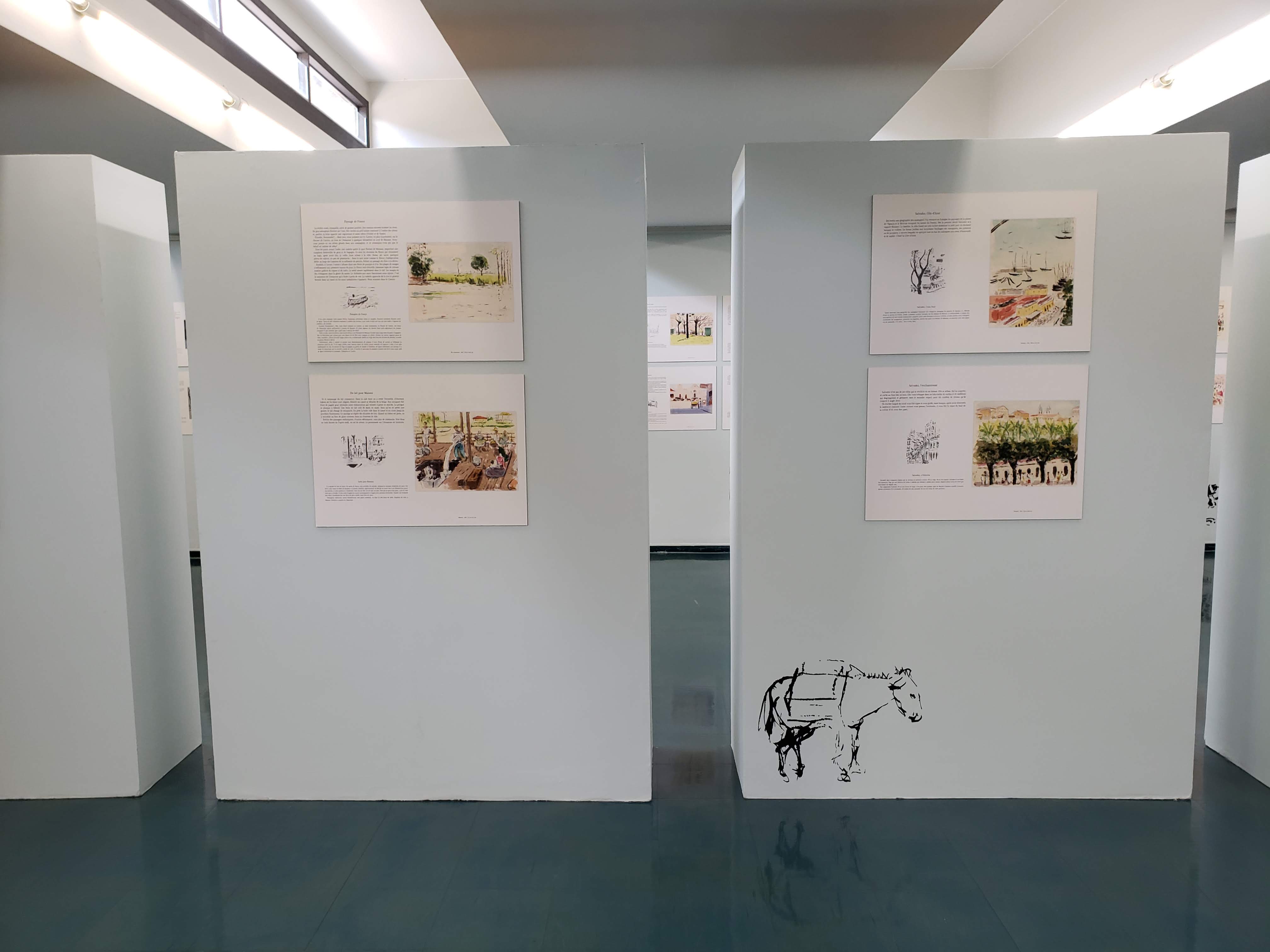 Imagens do Brasil: Paul Garfunkel