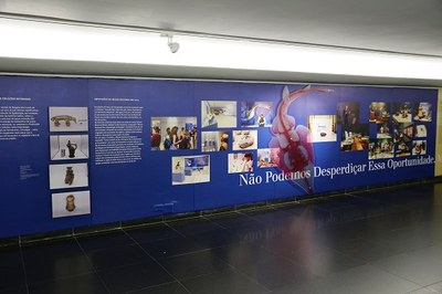 O Museu Nacional vive! Memórias e perspectivas