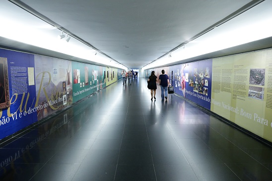 O Museu Nacional vive! Memórias e perspectivas