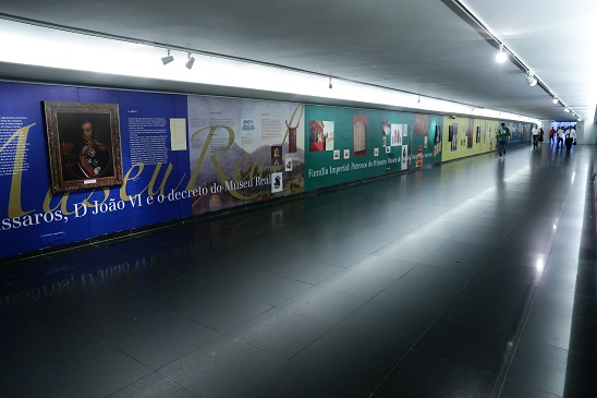 O Museu Nacional vive! Memórias e perspectivas