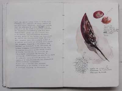 Livro de Papel - Grafite, nanquim, aquarela sobre papel - Fernando Augusto