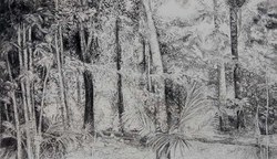 Paisagem Amazônica - Grafite sobre papel - Fernando Augusto