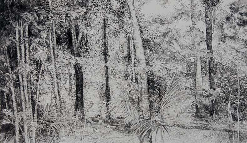 Paisagem Amazônica - Grafite sobre papel - Fernando Augusto