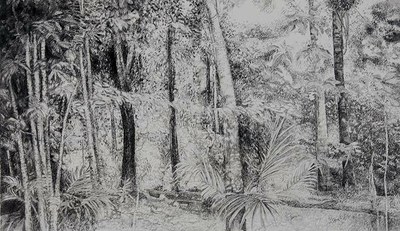 Paisagem Amazônica - Grafite sobre papel - Fernando Augusto