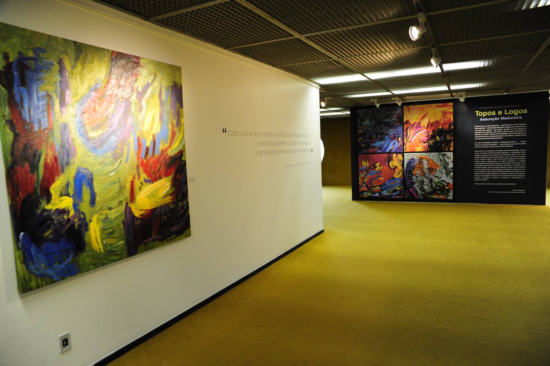 registro exposição Topos e Logos - foto de Lúcio Bernardo Jr.