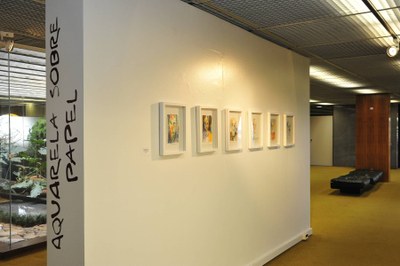 registro exposição Viagem à Amazônia - foto de Luis Macedo