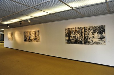 registro exposição Viagem à Amazônia - foto de Luis Macedo