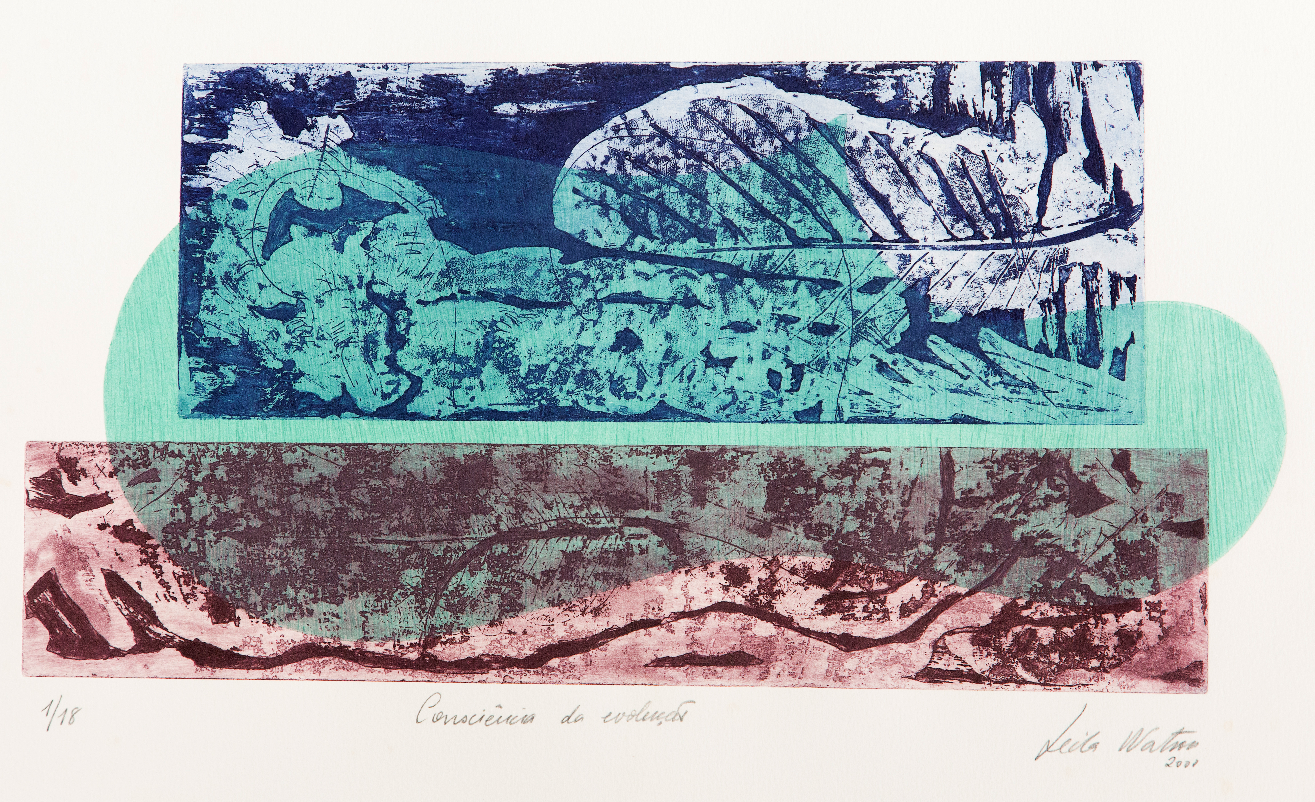 Consciência da evolução, de Lêda Watson