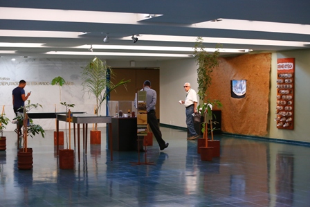 Um Olhar para o Cerrado