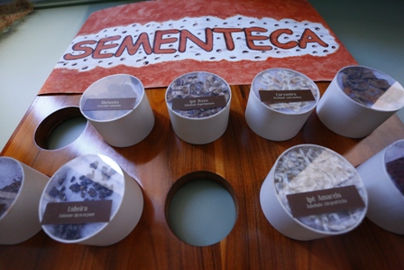 Um Olhar para o Cerrado