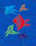 darlan rosa - arte digital