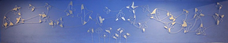 Pipas Amazônicas, 2012 Darlan Rosa (Foto: Ananda Borges)