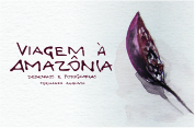 Viagem à Amazônia: Desenhos e Fotografias