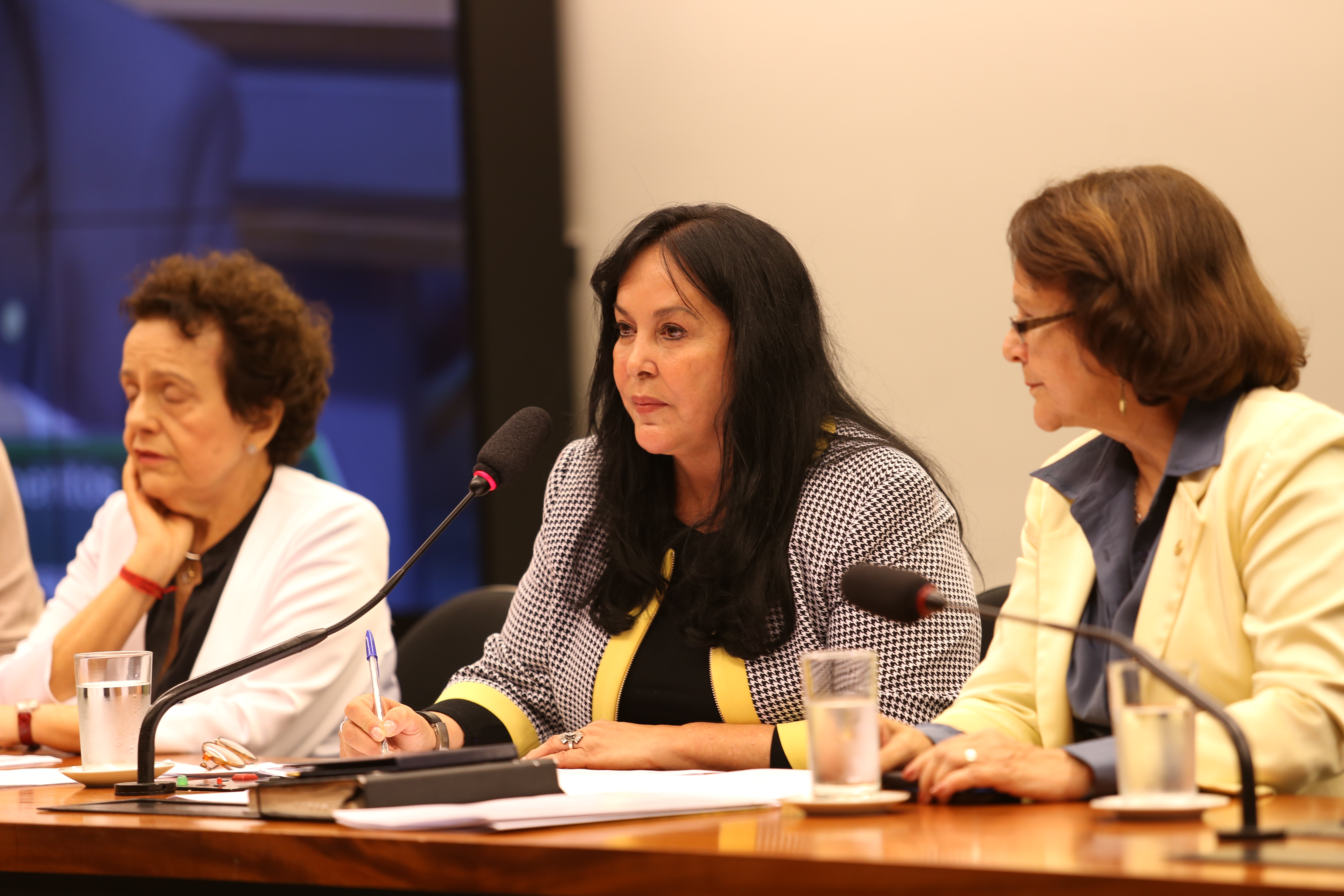 Senadora Rose de Freitas 1