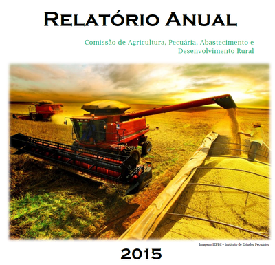 Capa Relatório 2015