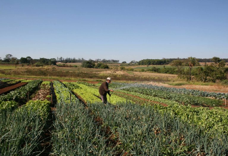 Agricultura aprova nova definição de agricultor familiar e empreendedor rural