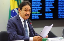 Agricultura aprova política de incentivo à cultura de flores e plantas ornamentais