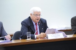 Agricultura aprova subvenção para milho usado em ração de suínos e aves produzidos de forma independente