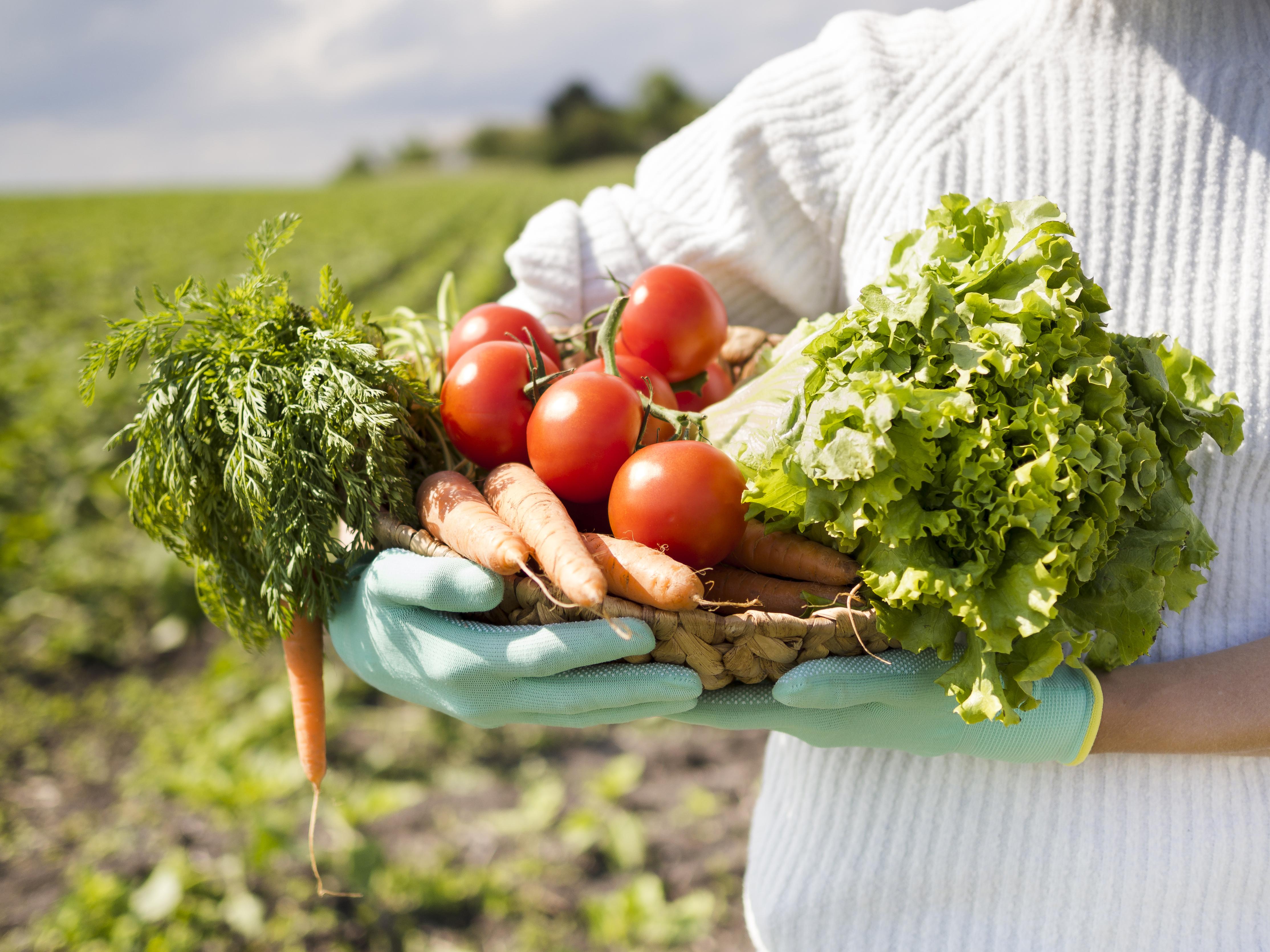 Comissão de Agricultura aprova emendas ao PLOA 2024