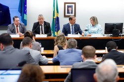 Comissão de Agricultura elege Vice-Presidentes