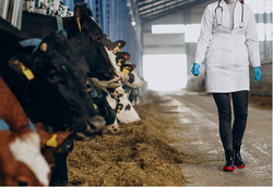 Comissão rejeita projeto de lei que restringe exercício da zootecnia