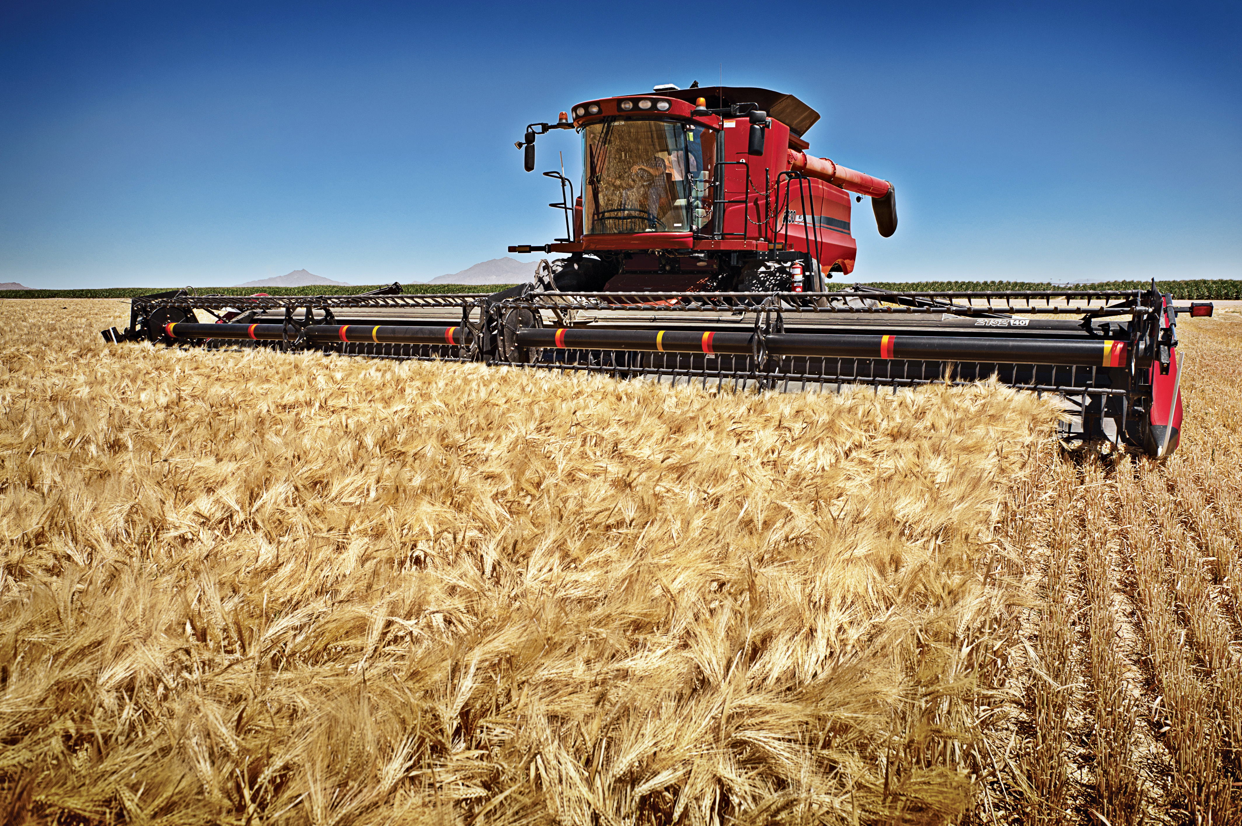 Impactos do Plano Agrícola 2017 para o cooperativismo será tema de audiência nesta quarta-feira