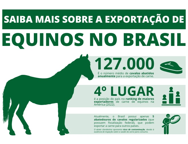 Consumo de carne de cavalo não é comum no Brasil, mas País é o 13º