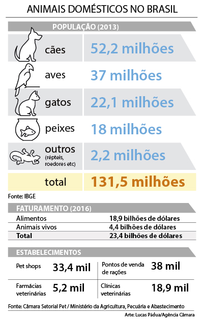 Mercado de animais domésticos cobra legislação específica para o setor