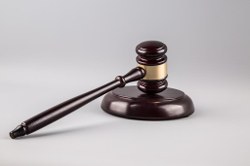 CCJC adia votação de projeto que impede STF de decidir sobre temas de competência do Legislativo