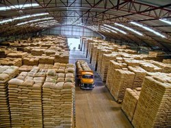 CCJC aprova adesão voluntária à certificação de armazenagem agropecuária