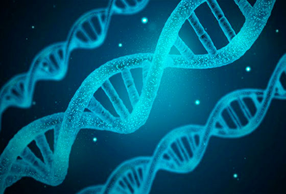 CCJC aprova envio rápido de material genético ao exterior durante epidemia