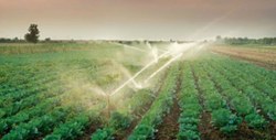 CCJC aprova projeto que amplia subsídio para energia na agricultura irrigada e aquicultura