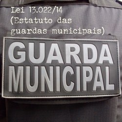 CCJC aprova proposta que permite que guardas municipais sejam chamados de policiais