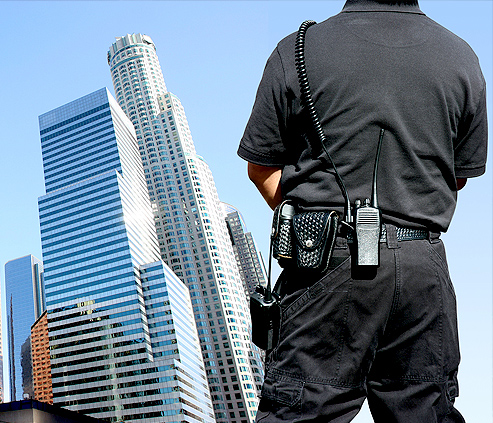 CCJC aprova regulamentação da profissão de técnico de segurança patrimonial