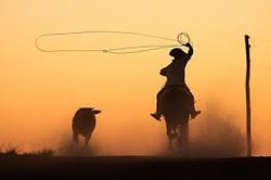 CCJC aprova regulamentação de rodeio crioulo