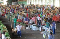 CCJC aprova regulamentação para Ceasas