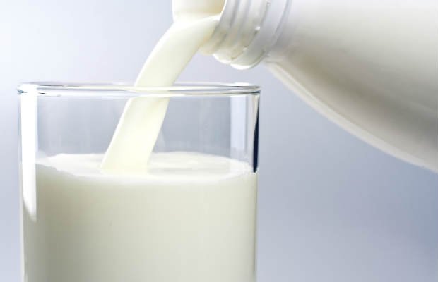 CCJC aprova restrições à importação de leite produzido sem regras ambientais similares às brasileiras
