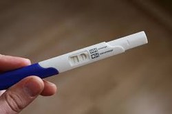 CCJC aprova teste de gravidez em demissão de funcionária