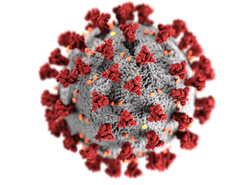 Congresso instalou hoje comissão para acompanhar medidas contra o coronavírus