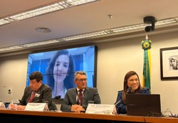 Comissão debate uso de redes de comunicação para localizar desaparecidos