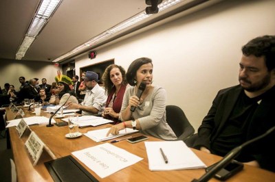 Audiência Pública da Comissão de Cultura da Câmara 24.5 