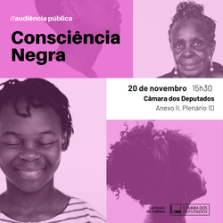 Audiência Pública - "Consciência Negra" (20/11)
