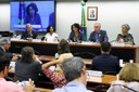 CCult: Seminário debate os impactos da extinção do Ministério da Cultura (22/05/2019)