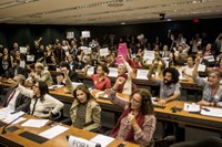 Em audiência pública, artistas reforçam a luta pela democracia.