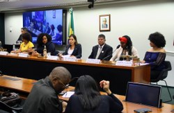 Em debate na Comissão de Cultura, ativistas pedem mais negros nas universidades