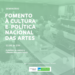 Seminário - Mecanismos de fomento à Cultura e a Política Nacional das Artes (12/06)