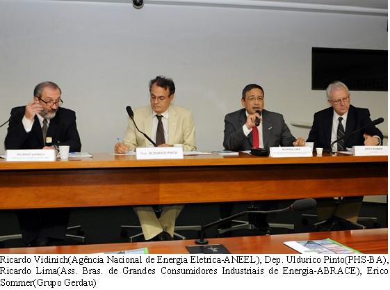 Audiência ANEEL - 24-03-2010